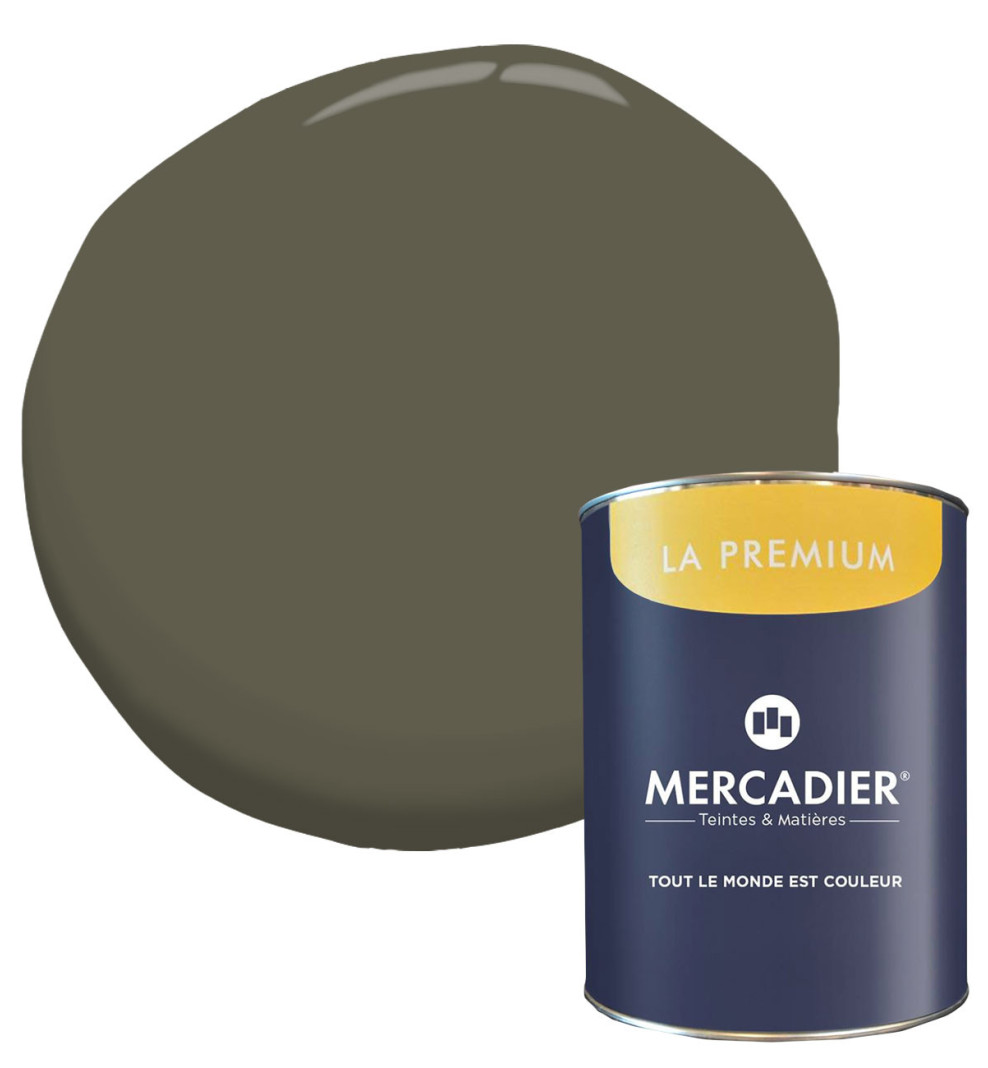 Peinture murs La Premium • Solimoes