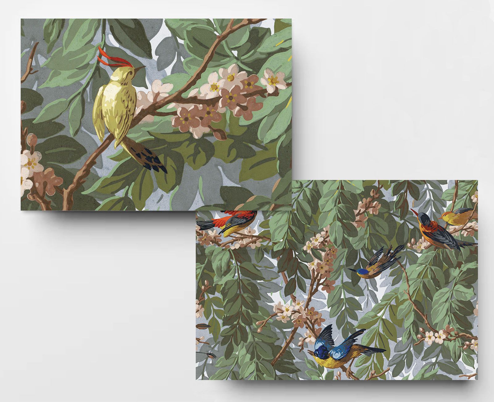 Le papier peint style anglais : papier peint oiseau et papier peint fleuri